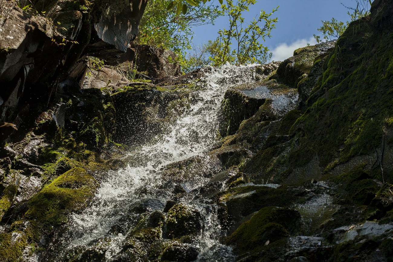 Día Mundial del Agua: COCA-COLA reafirma su compromiso global 