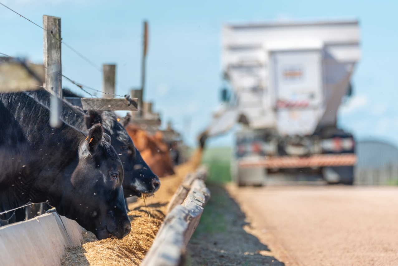 ADP-Agronegocios del Plata consolida la producción sustentable de carne premium 