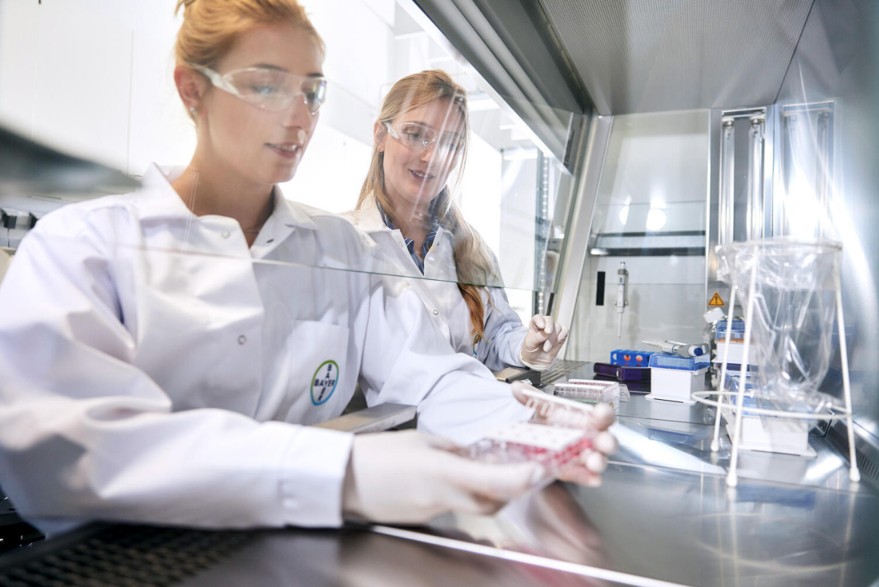 Comienza la convocatoria a LEGADO 2025, el programa de Bayer y Endeavor que impulsa a emprendimientos con impacto real en la región 