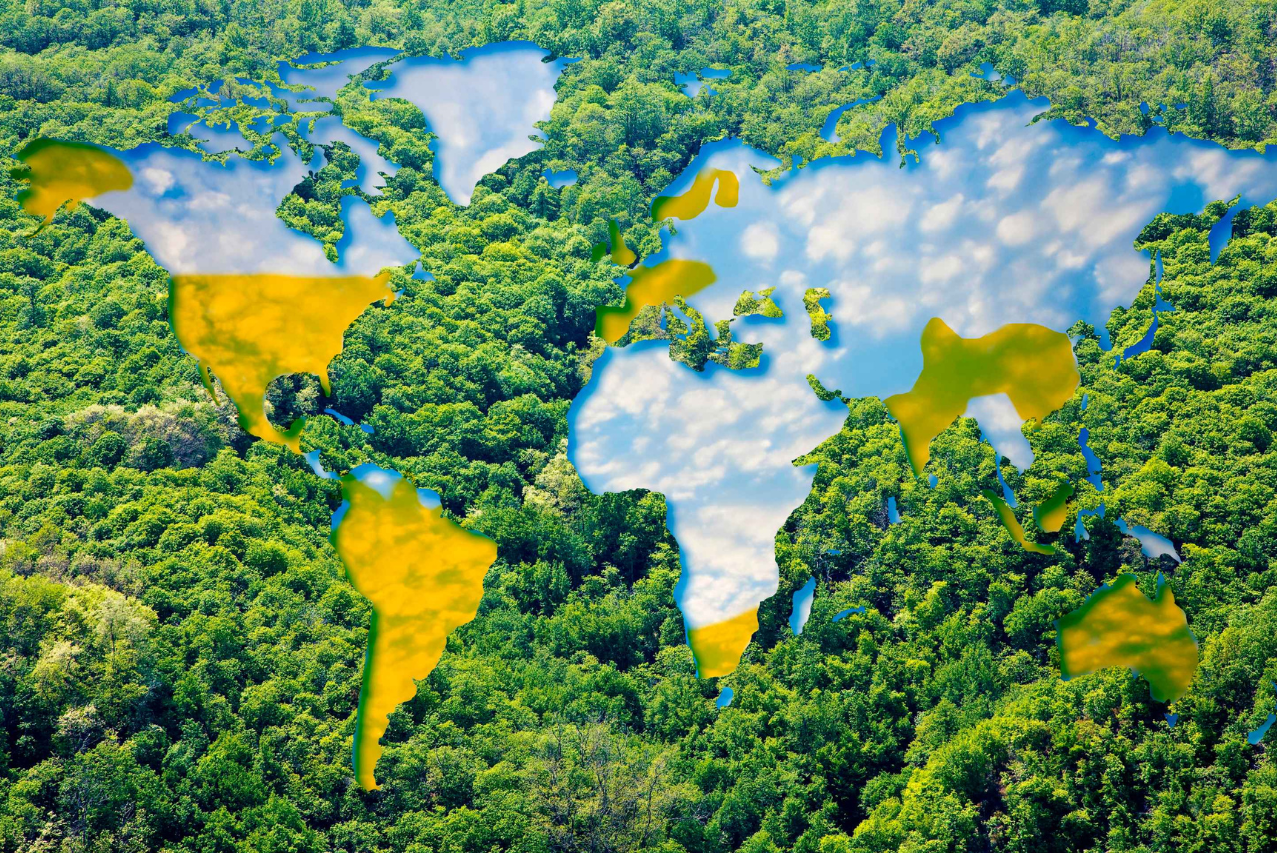 GRUPO PROSEGUR RENUEVA SU PLAN DE COMPENSACIÓN DE EMISIONES CON EL APOYO AL PROYECTO REDD + SELVA MATAVÉN EN COLOMBIA 