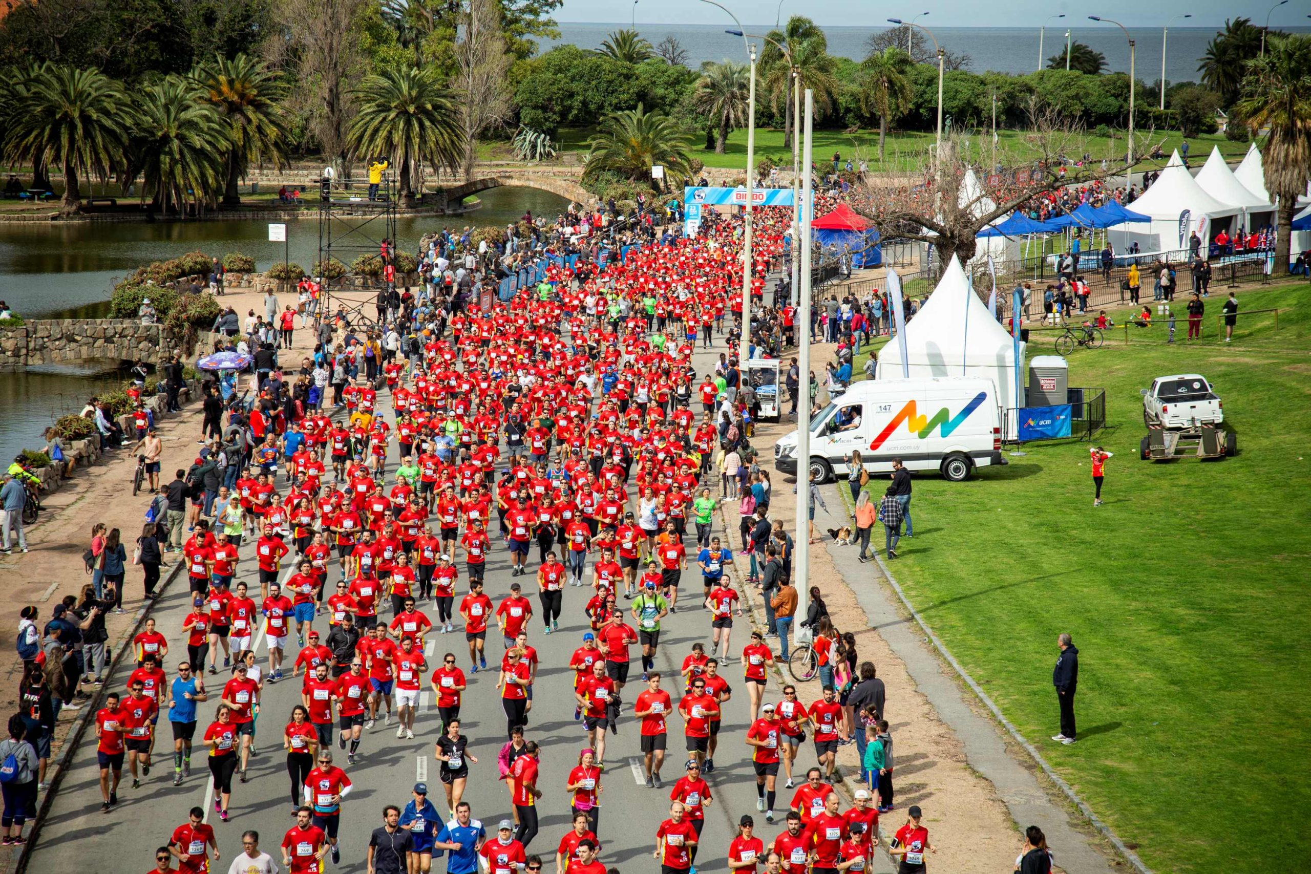 Deportistas comparten recomendaciones para preparar una carrera de la mejor forma 